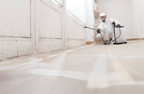 24/7 Emergency Mold Remediation experts in Nokesville, VA