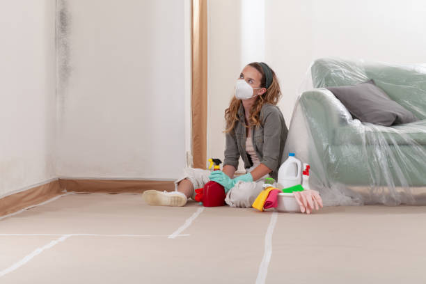 Reliable Mold Remediation contractor in Nokesville, VA by WQB Mold Removal